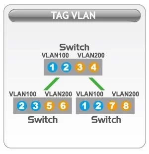 tag-vlan